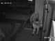 Ladri in azione a Madonna Regina, una villetta svaligiata