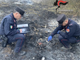 Incendi nei boschi di Ispra e Induno Olona: individuati i presunti responsabili
