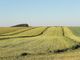 Imprese agricole: un bando per contributi a fondo perduto fino a 5.000 euro