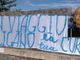 Lo striscione esposto dai tifosi bustocchi a Pisa (dalla pagina Facebook ilBustocco.it) e Leo Lo striscione esposto dai tifosi bustocchi a Pisa (dalla pagina Facebook ilBustocco.it) e Leo