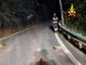 Frana nella notte sulla Statale 659 a Crodo: auto colpita dai detriti Frana nella notte sulla Statale 659 a Crodo: auto colpita dai detriti