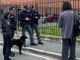 Controlli antidroga nelle scuole di Gallarate: in azione il “cane poliziotto” Zorro Controlli antidroga nelle scuole di Gallarate: in azione il “cane poliziotto” Zorro