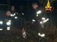 Il cervo soccorso dai vigili del fuoco a Lozza