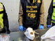 La Guardia di Finanza sequestra un cranio di orso bruno a Malpensa La Guardia di Finanza sequestra un cranio di orso bruno a Malpensa