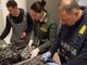 Dagli Stati Uniti con 17 chili di marijuana in valigia: passeggera arrestata a Malpensa Dagli Stati Uniti con 17 chili di marijuana in valigia: passeggera arrestata a Malpensa