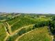 L'azienda astigiana Ferraris Agricola presenta Opera Prima Riserva 2017