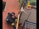 VIDEO. Cagnolino incastrato a testa in giù nelle inferriate del balcone ai piani alti viene salvato dai vigili del fuoco VIDEO. Cagnolino incastrato a testa in giù nelle inferriate del balcone ai piani alti viene salvato dai vigili del fuoco