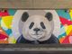 Il murales preso di mira dai vandali con un lancio di uova a Cavaria con Premezzo (foto dal Comune)