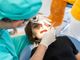 Prevenzione odontoiatrica pediatrica: estetica, salute e benessere psicologico per i bambini