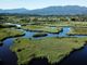 Flora, fauna e altre vite ora è un documentario