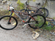 Alcune delle biciclette sospette rinvenute da carabinieri e polizia locale