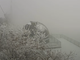 La neve questa mattina al Campo dei Fiori (foto dalla webcam del Centro Geofisico Prealpino)