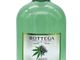 Il GIN GREEN lanciato da Bottega