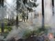 Maltempo, sos vento forte per danni e incendi: bufere da inizio anno, metà in Lombardia