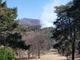 Incendio nel parco del Campo dei Fiori, in azione i soccorsi