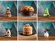 Qui, e nella galleria fotografica, alcune delle creazioni della Pasticceria Chiara per le festività 2021. Servizio a cura di Alessio Murace