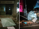 (foto da ilSaronno.it)