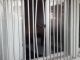 La finestra della scuola forzata con un cric dai ladri (foto da IlSaronno.it)