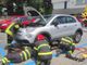 Sesto Calende, gattino incastrato nel motore dell'auto. Per liberarlo servono i vigili del fuoco