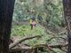 FOTO. Disperso nel bosco in Val Veddasca: salvato dall'elicottero dei vigili del fuoco