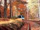 L’autunno continua a splendere in Valle Vigezzo