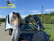 La donna finita nel mirino della Finanza pubblicava spesso foto con auto di lusso
