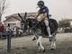 Gallarate, il Palio della Rama di Pomm entra nel vivo. Domenica il gran finale