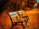 L’autunno: alla fine dell'estate, i nuovi inizi abbondano (più del tappeto di foliage)