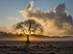 Quando arriva l'autunno? Da sabato con vento e crollo delle temperature minime