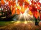 Autunno per ora molto mite con temperature &quot;primaverili&quot; in provincia di Varese
