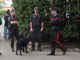 I carabinieri salvano due cani dagli spacciatori nel bosco