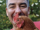 Barzetti con Antonelli Clerici. Nel riquadro: la foto pubblicata oggi su Instagram insieme alla gallina Delfina e il testo del post