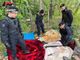 I carabinieri stroncano lo spaccio nei boschi tra Sesto e Vergiate: smantellata una banda di pusher marocchini
