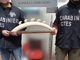 Il materiale sequestrato dai carabinieri Forestali