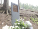 Tragedia del Mottarone, morta la madre di una vittima varesina. Un anno fa aveva protestato chiedendo giustizia