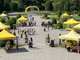 FOTO&amp;VIDEO. I Giardini Estensi si colorano di giallo: centinaia di bambini a scuola di educazione alimentare