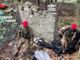 Non si ferma la lotta contro lo spaccio nei boschi: blitz dei carabinieri Cacciatori al Parco Pineta e al Parco Lura