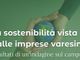 Indagine sulla sostenibilità nell'economia varesina: cresce l'impegno delle imprese