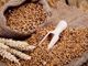 Prezzo dei cereali a +11%, agricoltori del Varesotto preoccupati per le ripercussioni su latte e carne