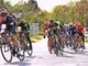 Ciclismo Under 23: Carnago si veste di tricolore