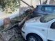 FOTO. Cuggiono, tetto crolla sulle auto: intervengono i vigili del fuoco