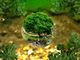 Design ed ecologia? Bello senza spreco