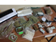 Il materiale sequestrato dall'Antidroga della Squadra Mobile di Varese