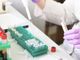 Coronavirus, i dati di sabato 9 gennaio: nel Varesotto 87 contagi. Varese +15, Busto+3, Gallarate +8, Saronno +11