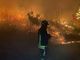 Alto rischio di incendi boschivi: scatta l'allerta in tutta la Lombardia