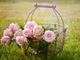 Fioriere da giardino: la guida completa all’acquisto