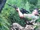 Il padre del foreign fighter varesino ucciso in Ucraina: «Benjamin non era un angelo, voleva solo stare dalla parte giusta»