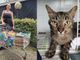 Elisa ha donato le pappe con Paola. A lato Oscar, un micio del gattile di Legnano