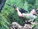 Foreign fighter varesino ucciso in Ucraina, la madre: «Sapeva di poter morire ma si sentiva al posto giusto»