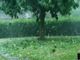 La grandine è ormai di casa in provincia di Varese